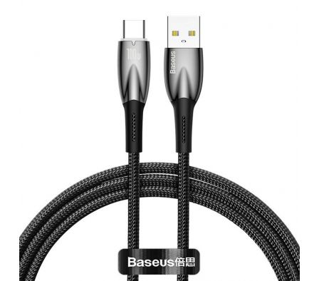 BASEUS CABLE CADH000501 U-C 100W 2M BK